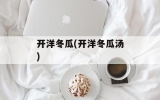 开洋冬瓜(开洋冬瓜汤)