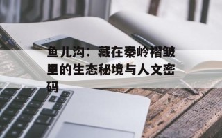鱼儿沟：藏在秦岭褶皱里的生态秘境与人文密码