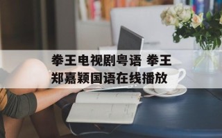 拳王电视剧粤语 拳王郑嘉颖国语在线播放