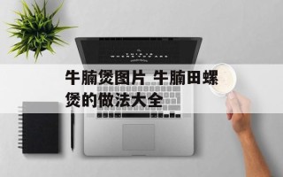 牛腩煲图片 牛腩田螺煲的做法大全