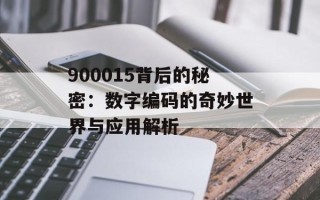 900015背后的秘密：数字编码的奇妙世界与应用解析