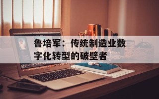 鲁培军：传统制造业数字化转型的破壁者
