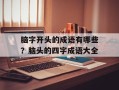 脑字开头的成语有哪些？脑头的四字成语大全