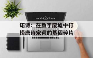 诺诗：在数字废墟中打捞唐诗宋词的基因碎片
