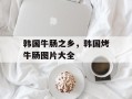 韩国牛肠之乡，韩国烤牛肠图片大全