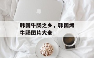 韩国牛肠之乡，韩国烤牛肠图片大全