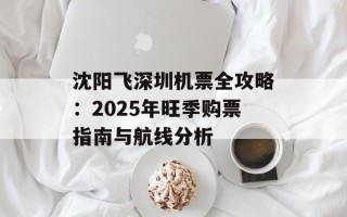 沈阳飞深圳机票全攻略：2025年旺季购票指南与航线分析