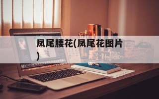 凤尾腰花(凤尾花图片)