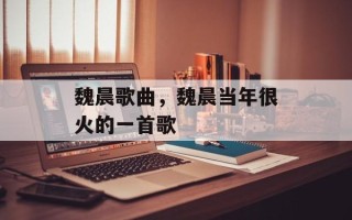 魏晨歌曲，魏晨当年很火的一首歌