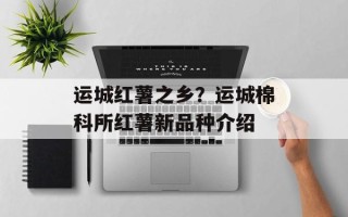 运城红薯之乡？运城棉科所红薯新品种介绍