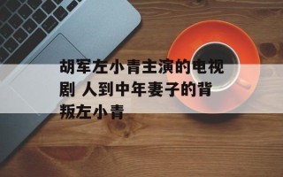 胡军左小青主演的电视剧 人到中年妻子的背叛左小青