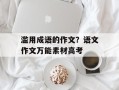 滥用成语的作文？语文作文万能素材高考