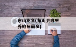 东山鲍鱼(东山县哪里养鲍鱼最多)