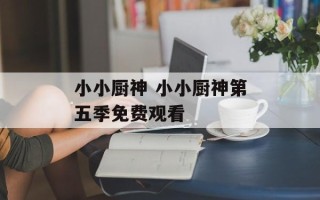 小小厨神 小小厨神第五季免费观看