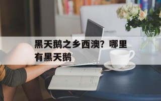 黑天鹅之乡西澳？哪里有黑天鹅