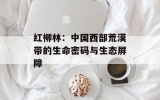 红柳林：中国西部荒漠带的生命密码与生态屏障