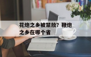 花炮之乡被禁放？鞭炮之乡在哪个省