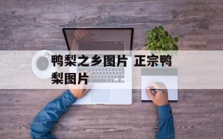 鸭梨之乡图片 正宗鸭梨图片