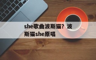 she歌曲波斯猫？波斯猫she原唱