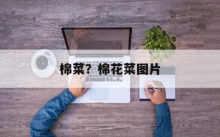 棉菜？棉花菜图片