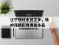 辽宁铁岭小品之乡，铁岭拜把团有哪些小品
