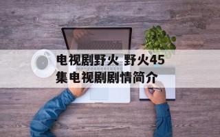 电视剧野火 野火45集电视剧剧情简介