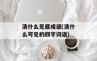 清什么见底成语(清什么可见的四字词语)
