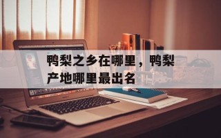 鸭梨之乡在哪里，鸭梨产地哪里最出名