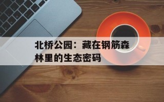 北桥公园：藏在钢筋森林里的生态密码