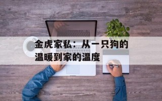 金虎家私：从一只狗的温暖到家的温度