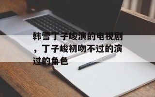 韩雪丁子峻演的电视剧，丁子峻初吻不过的演过的角色