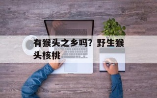 有猴头之乡吗？野生猴头核桃