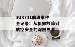 3U8731航班事件全记录：从机械故障到航空安全的深层思考
