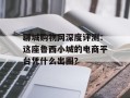 聊城购物网深度评测：这座鲁西小城的电商平台凭什么出圈？