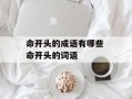 命开头的成语有哪些 命开头的词语
