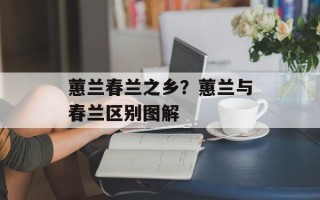 蕙兰春兰之乡？蕙兰与春兰区别图解