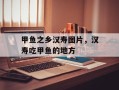 甲鱼之乡汉寿图片，汉寿吃甲鱼的地方