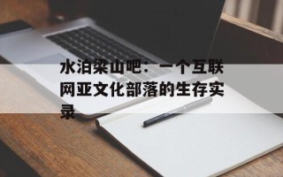 水泊梁山吧：一个互联网亚文化部落的生存实录