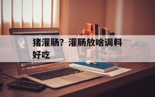 猪灌肠？灌肠放啥调料好吃