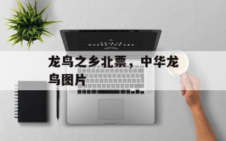 龙鸟之乡北票，中华龙鸟图片