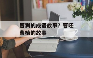 曹刿的成语故事？曹呸曹植的故事