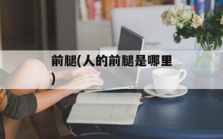 前腿(人的前腿是哪里)
