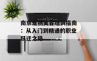 南京宠物美容培训指南：从入门到精通的职业跃迁之路