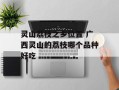 灵山荔枝之乡位置 广西灵山的荔枝哪个品种好吃