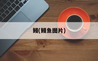 鳗(鳗鱼图片)