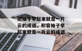 把袖子举起来就是一片云的成语，形容袖子举起来就是一片云的成语