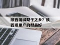 陕西蒲城梨子之乡？陕西哪里产的梨最好