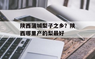 陕西蒲城梨子之乡？陕西哪里产的梨最好