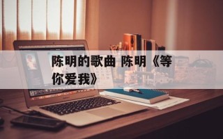 陈明的歌曲 陈明《等你爱我》