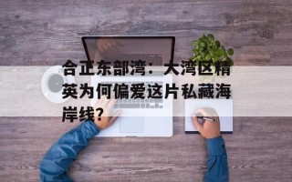 合正东部湾：大湾区精英为何偏爱这片私藏海岸线？